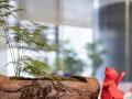 办公室装修设计的细节主要有哪些？